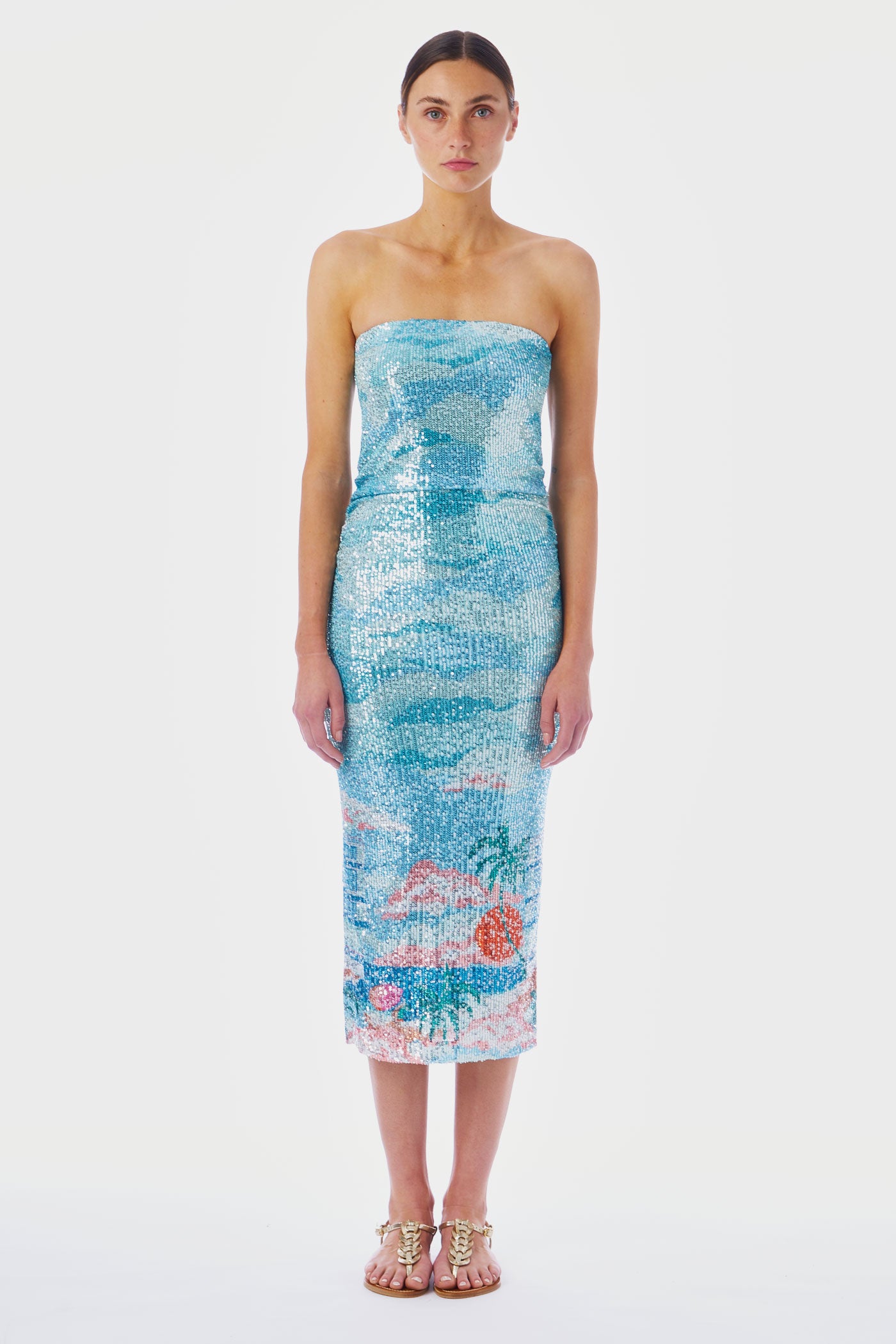 Ocean Front Walk Dress